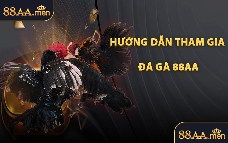 Hướng Dẫn Tham Gia Đá Gà 88AA