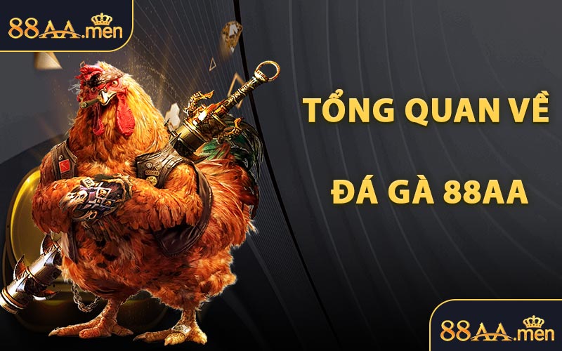 Tổng Quan Về Đá Gà 88AA